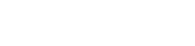 Willemit, partner Viladomů Labská, CFIG Real Estate